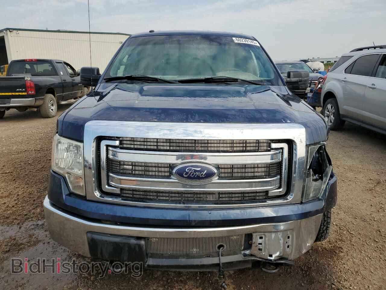 2013 FORD F-150 - VIN: 1FTFX1EF1DFA82929 - Фото 5