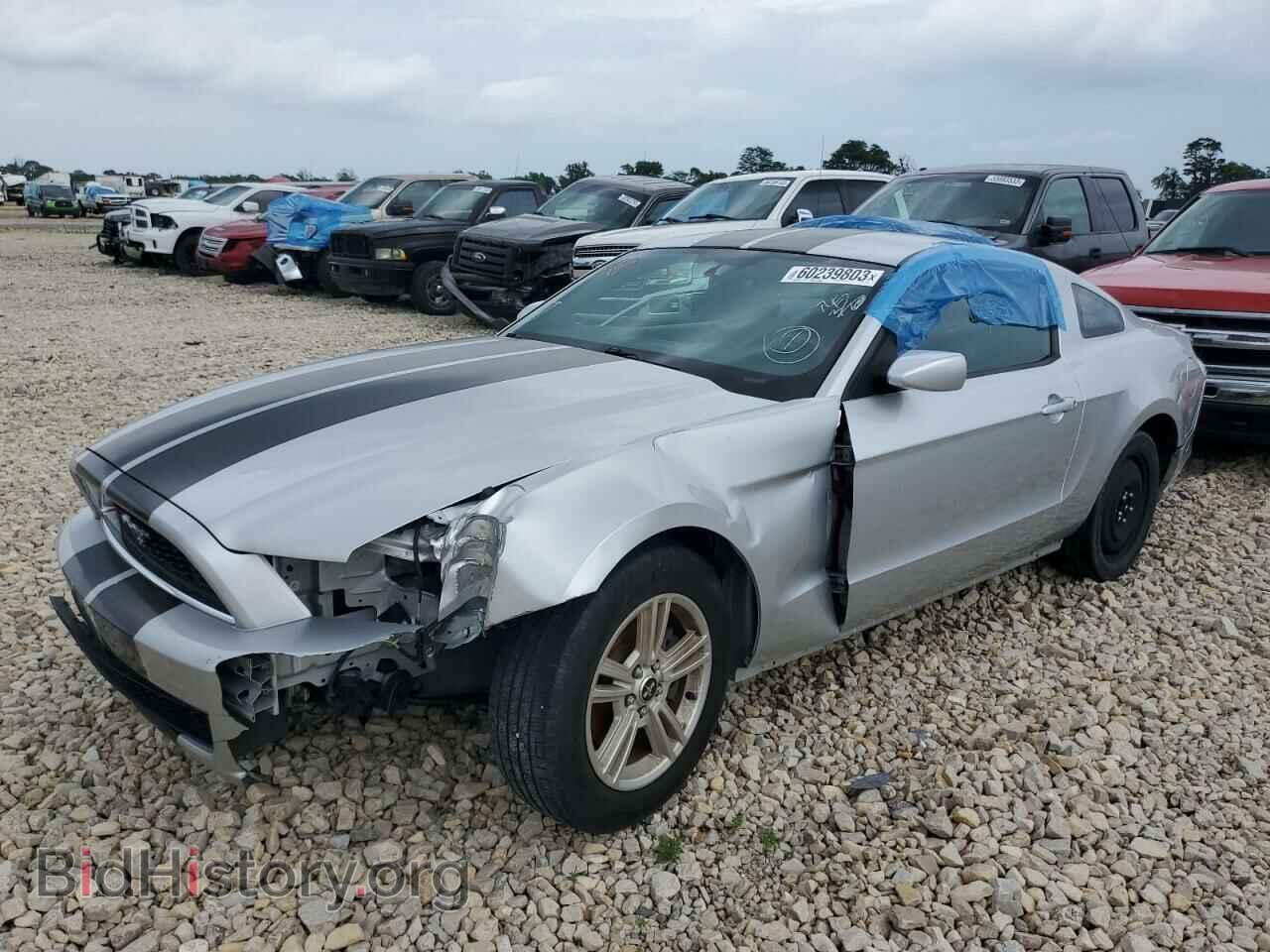 2014 FORD ALL Models - VIN: 1ZVBP8AM2E5311327 - Фото 2
