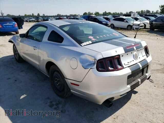 2014 FORD ALL Models - VIN: 1ZVBP8AM2E5311327 - Фото 3