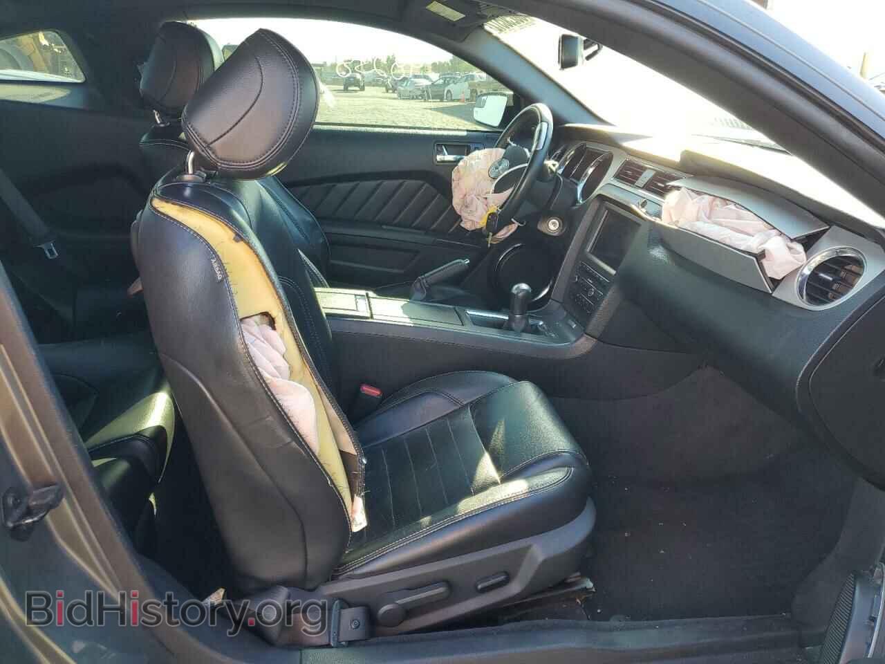 2013 FORD MUSTANG - VIN: 1ZVBP8CF4D5232402 - Фото 5