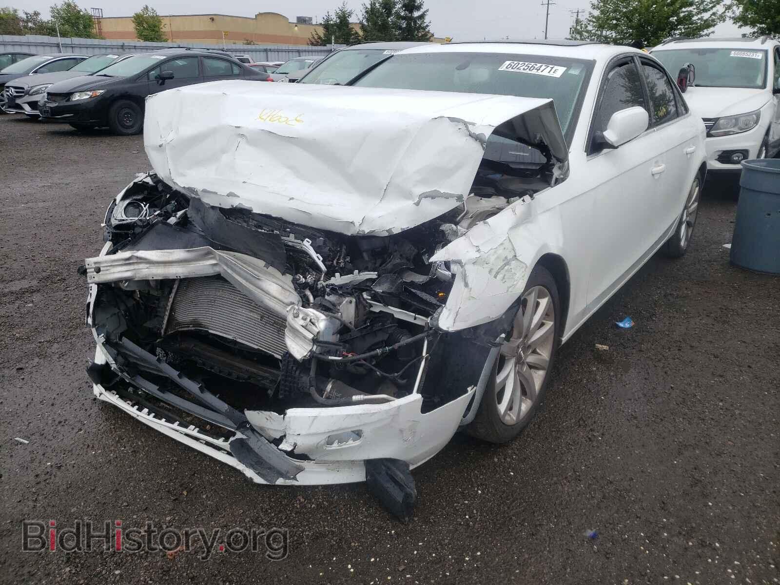 2014 AUDI A4 - VIN: WAUBFCFL3EN015898 - Фото 2
