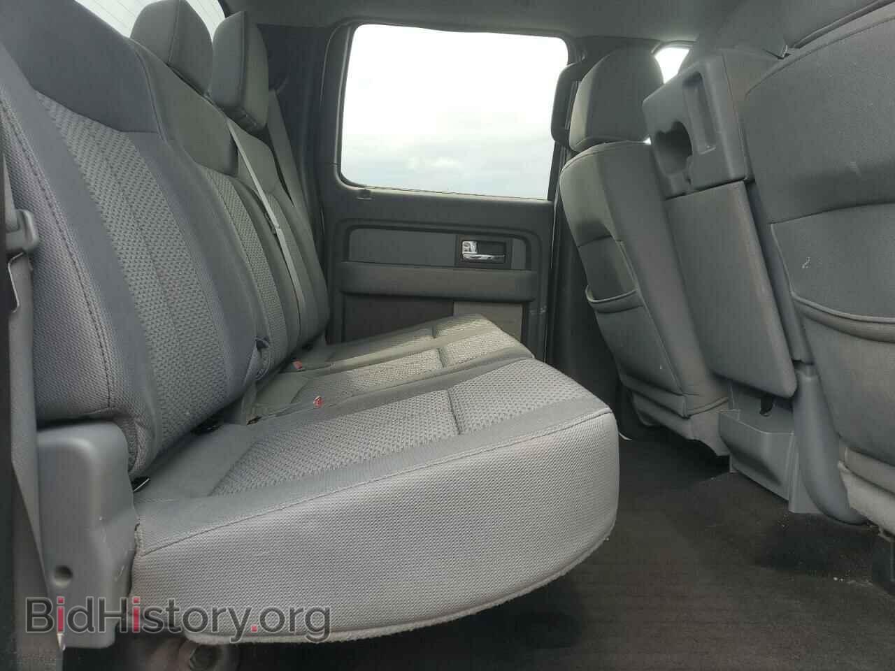 2013 FORD F-150 - VIN: 1FTFW1EF7DFB68264 - Фото 10