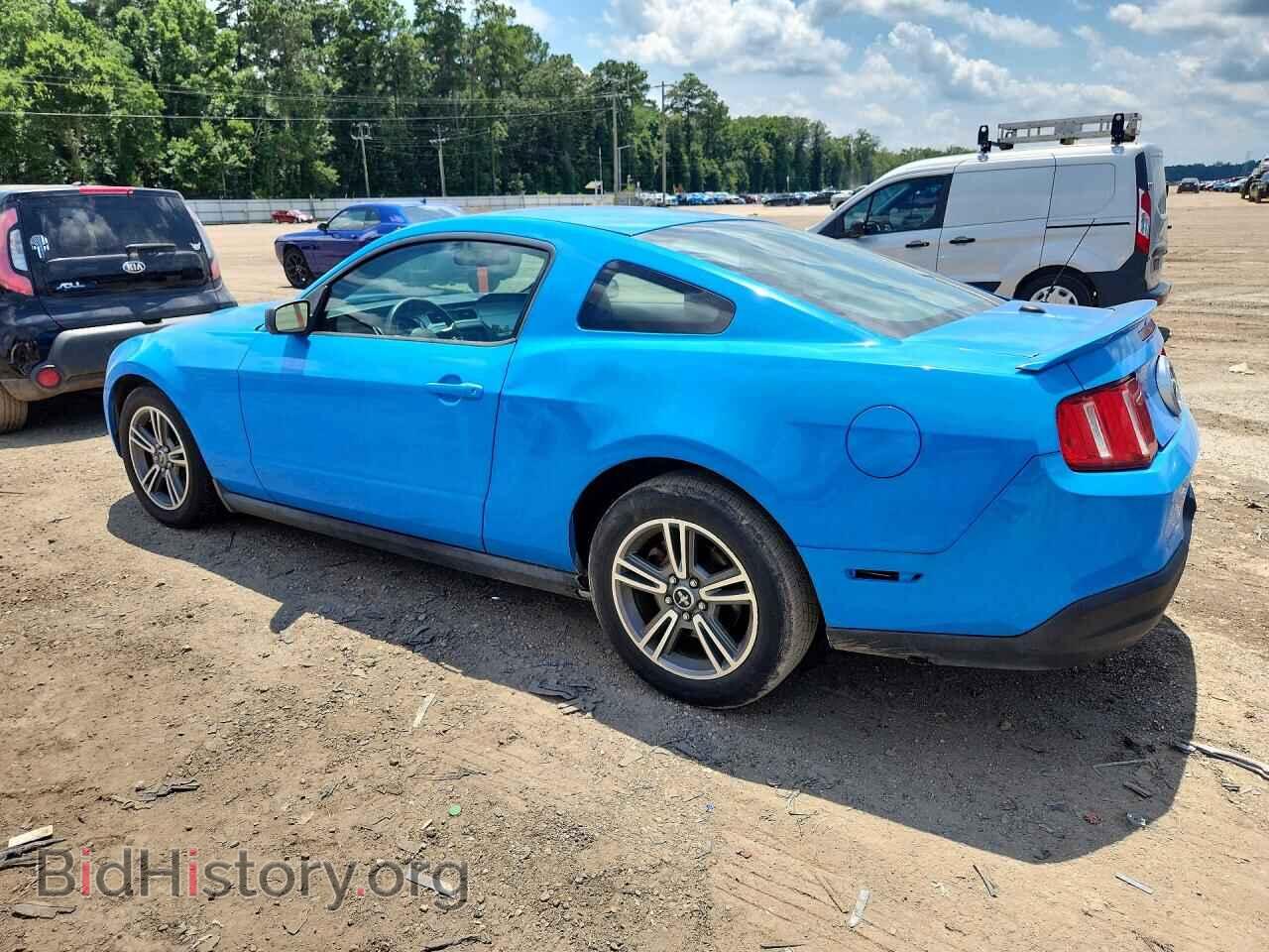 2010 FORD MUSTANG - VIN: 1ZVBP8AN9A5165169 - Фото 2