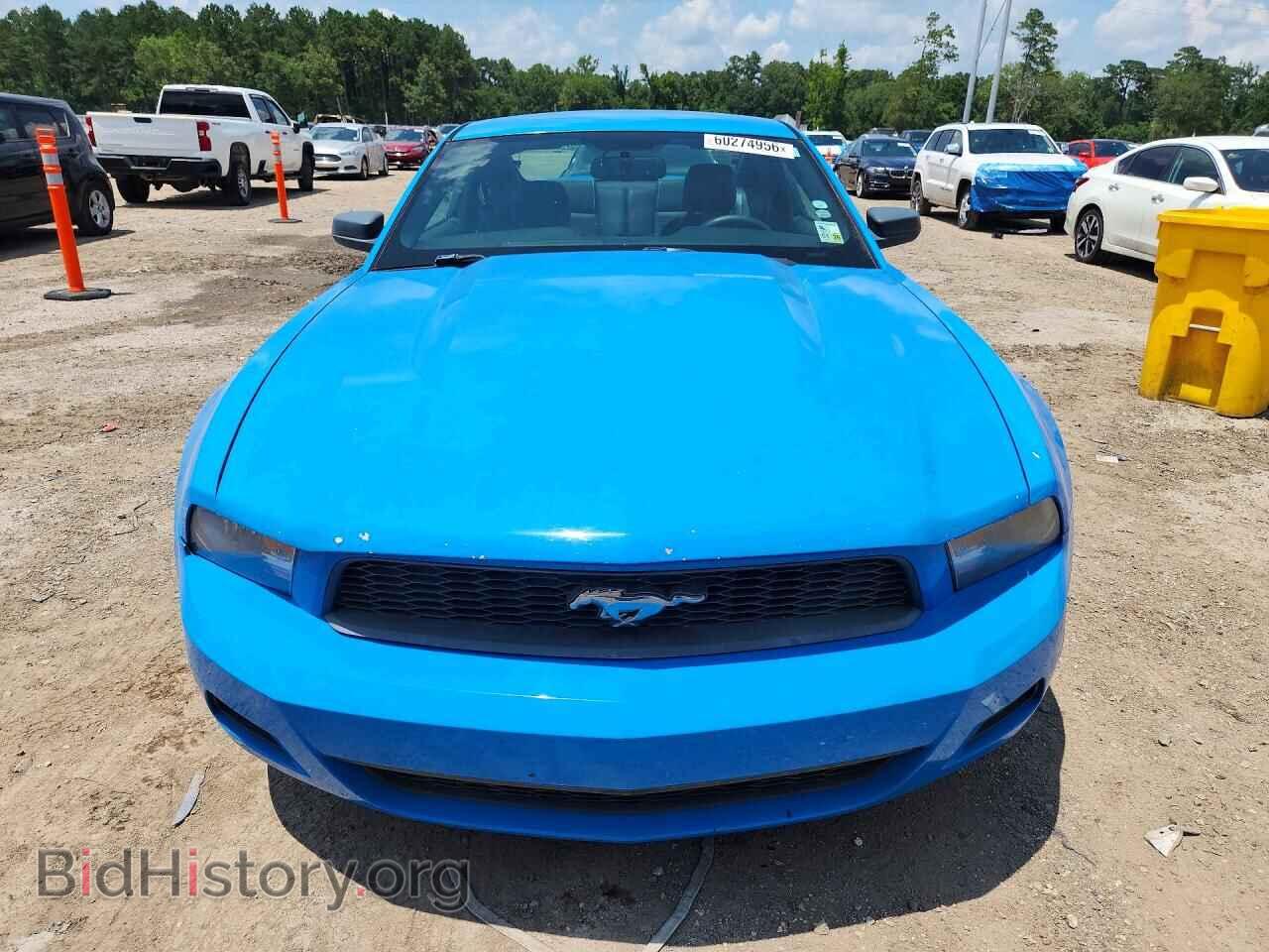 2010 FORD MUSTANG - VIN: 1ZVBP8AN9A5165169 - Фото 5