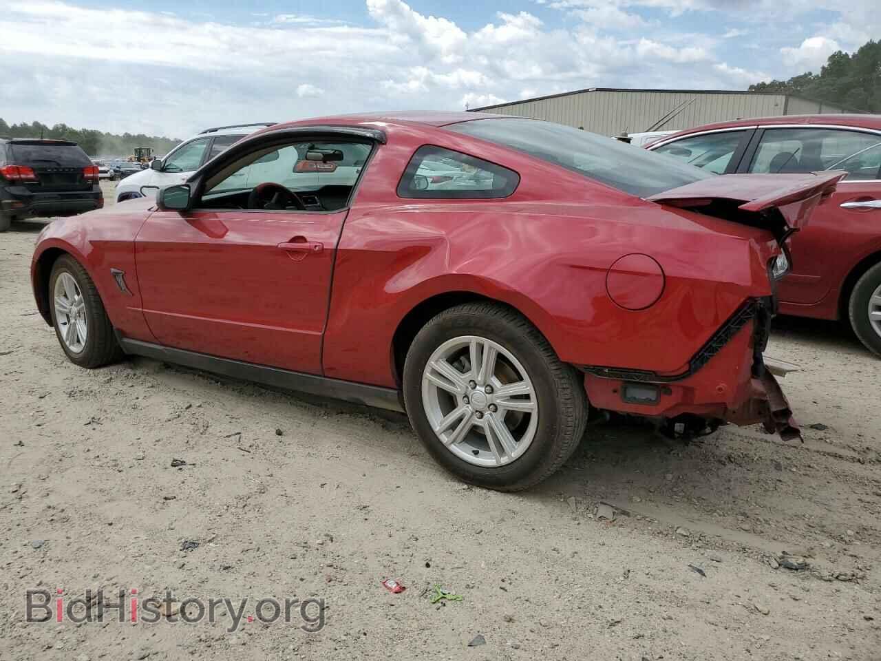 2010 FORD ALL Models - VIN: 1ZVBP8AN9A5172655 - Фото 2