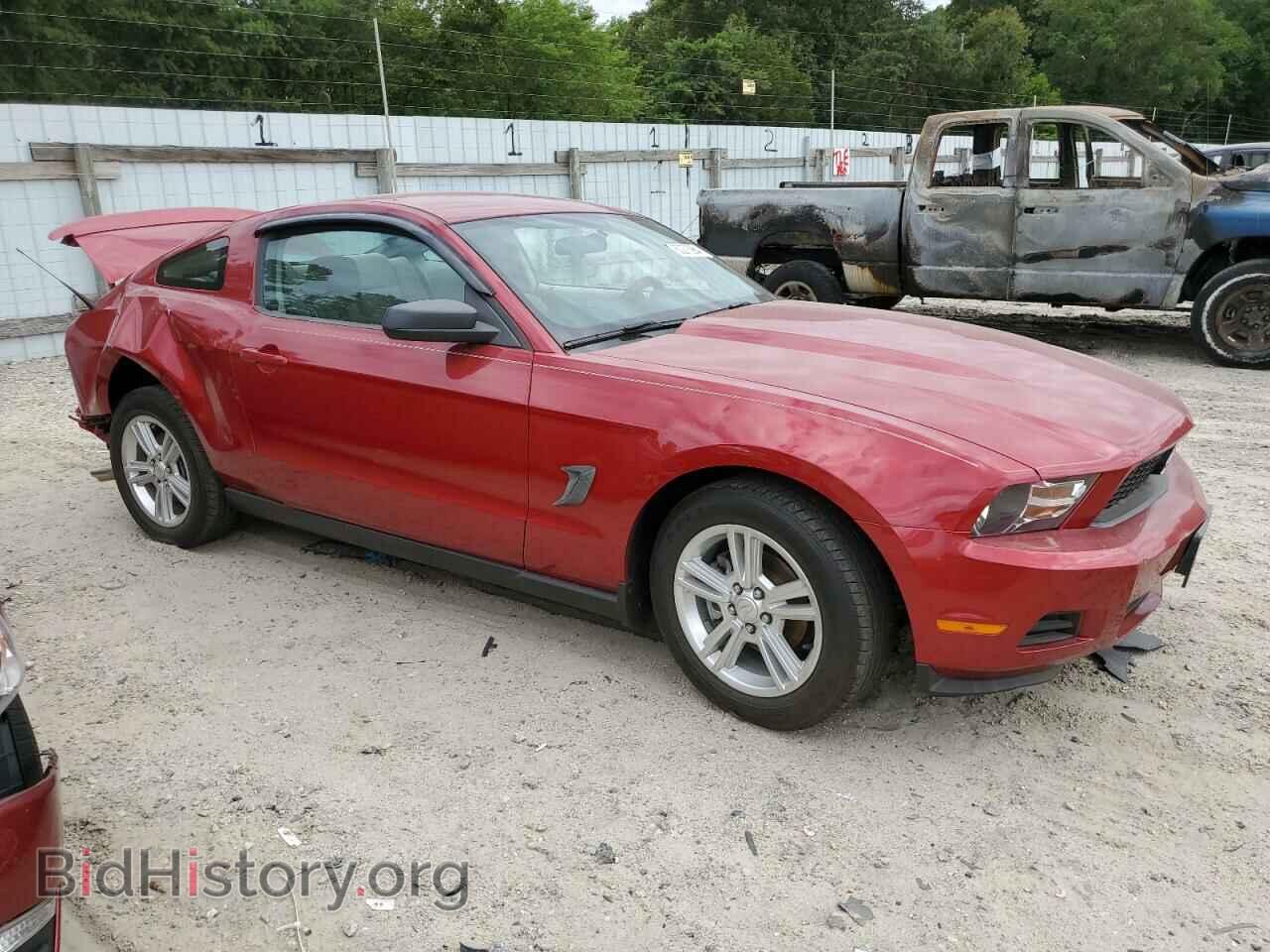 2010 FORD ALL Models - VIN: 1ZVBP8AN9A5172655 - Фото 4