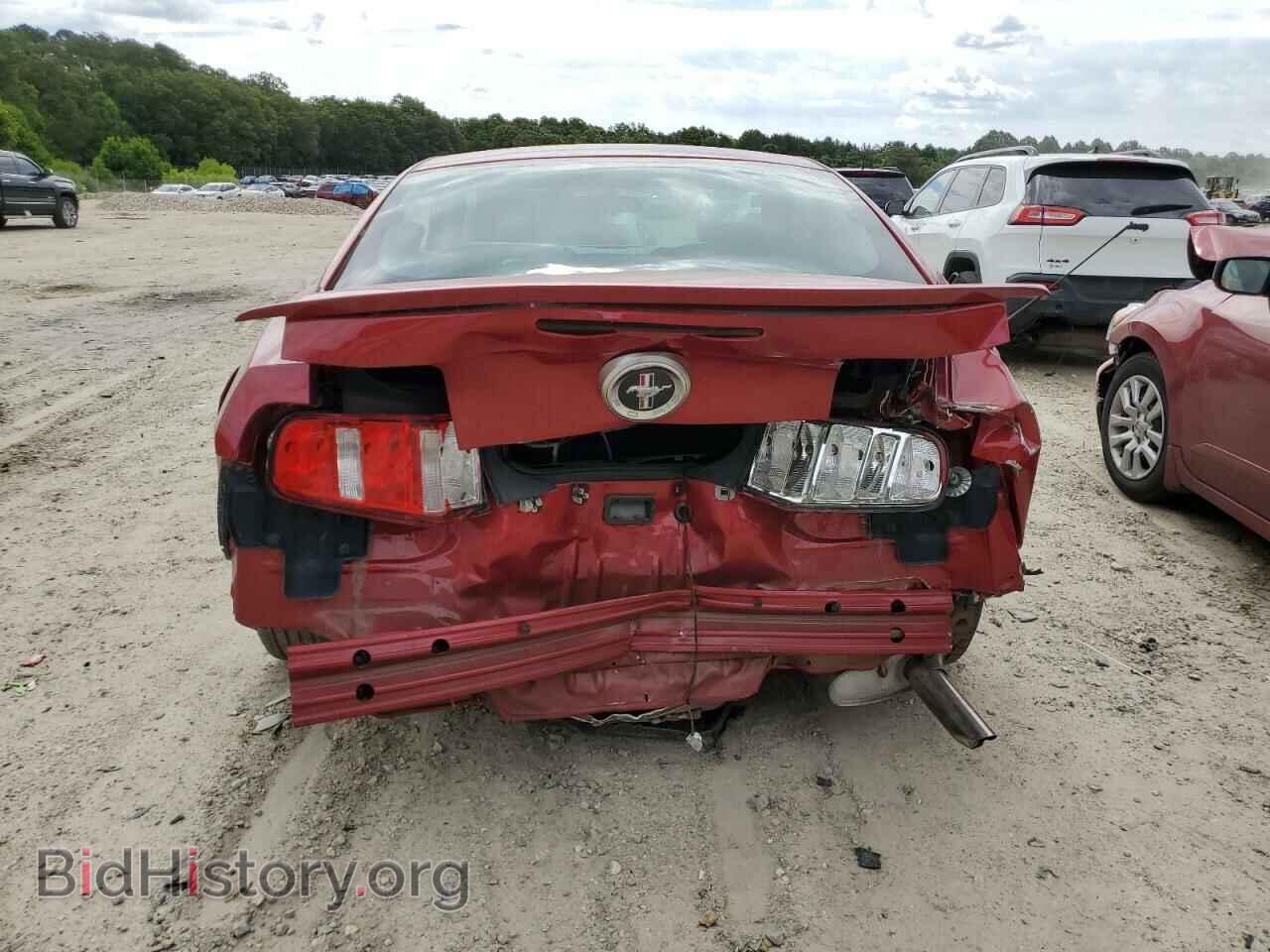 2010 FORD ALL Models - VIN: 1ZVBP8AN9A5172655 - Фото 6