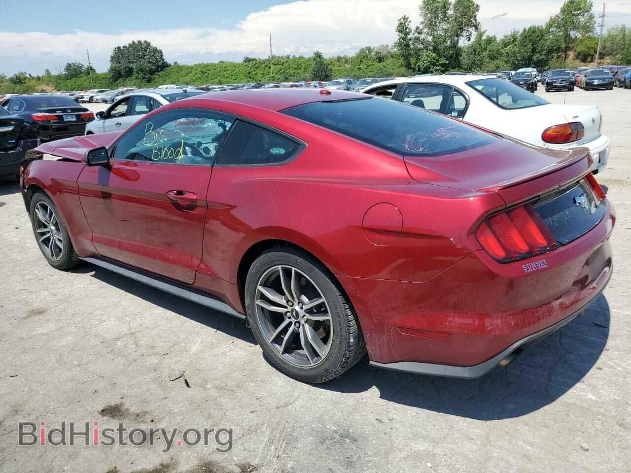 2017 FORD ALL Models - VIN: 1FA6P8TH0H5220006 - Фото 2