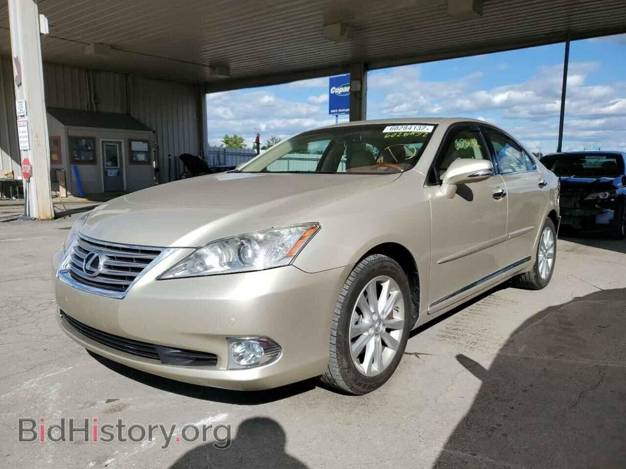 2011 LEXUS ES350 - VIN: JTHBK1EG7B2455660 - Фото 2