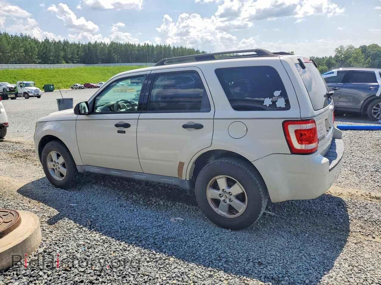 2010 FORD ESCAPE - VIN: 1FMCU0D79AKC65574 - Фото 2