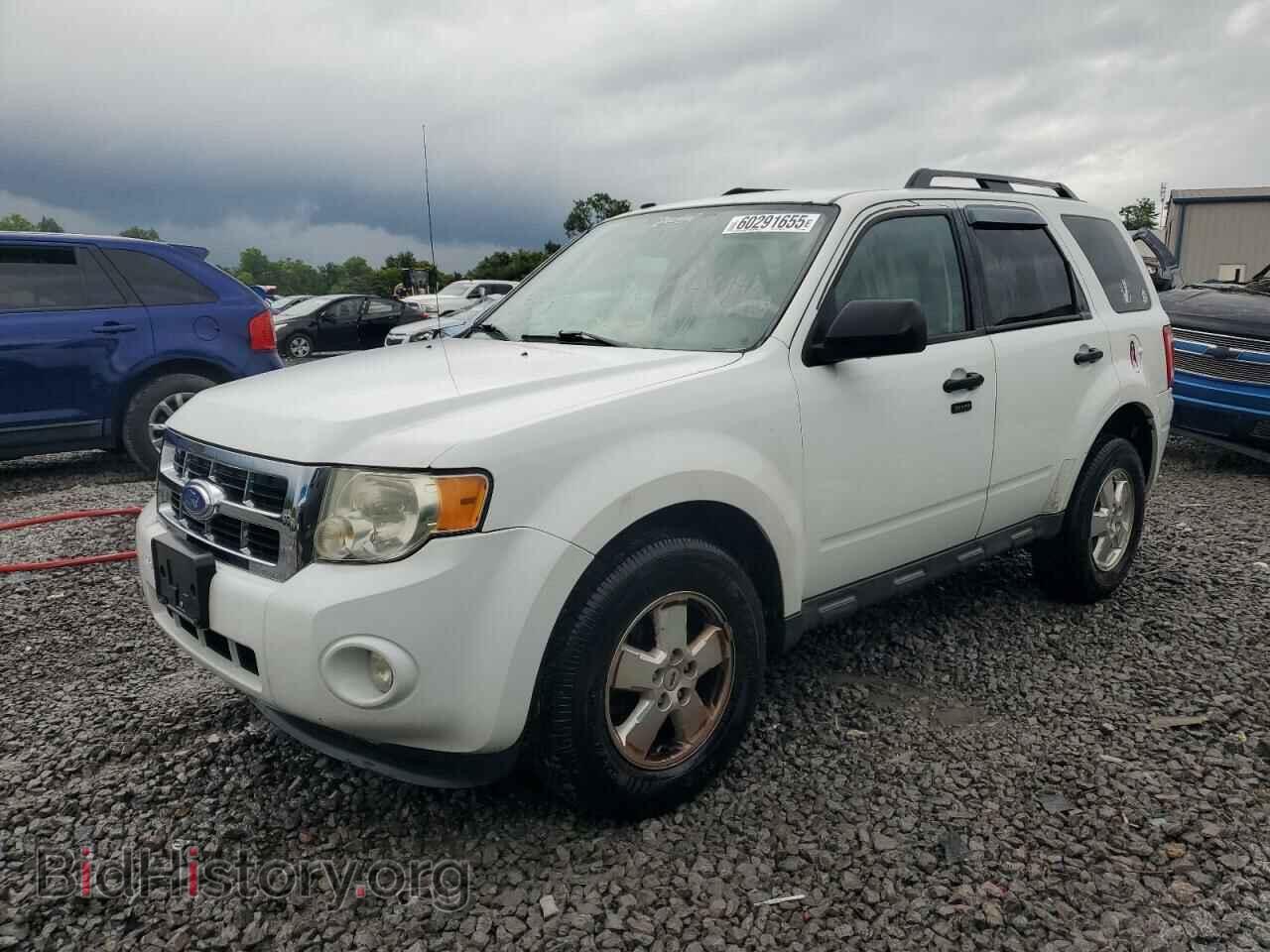 Photo 1FMCU0DG0BKB99806 - FORD ESCAPE 2011
