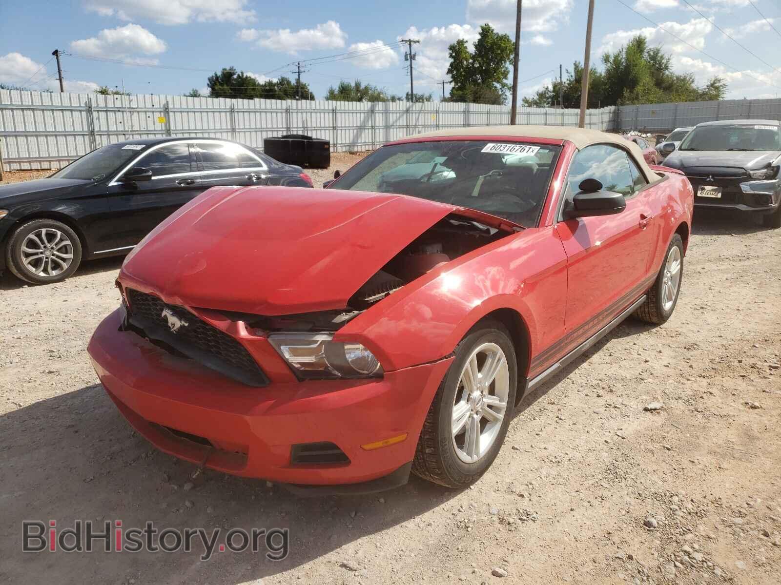 2010 FORD MUSTANG - VIN: 1ZVBP8EN5A5178690 - Фото 2