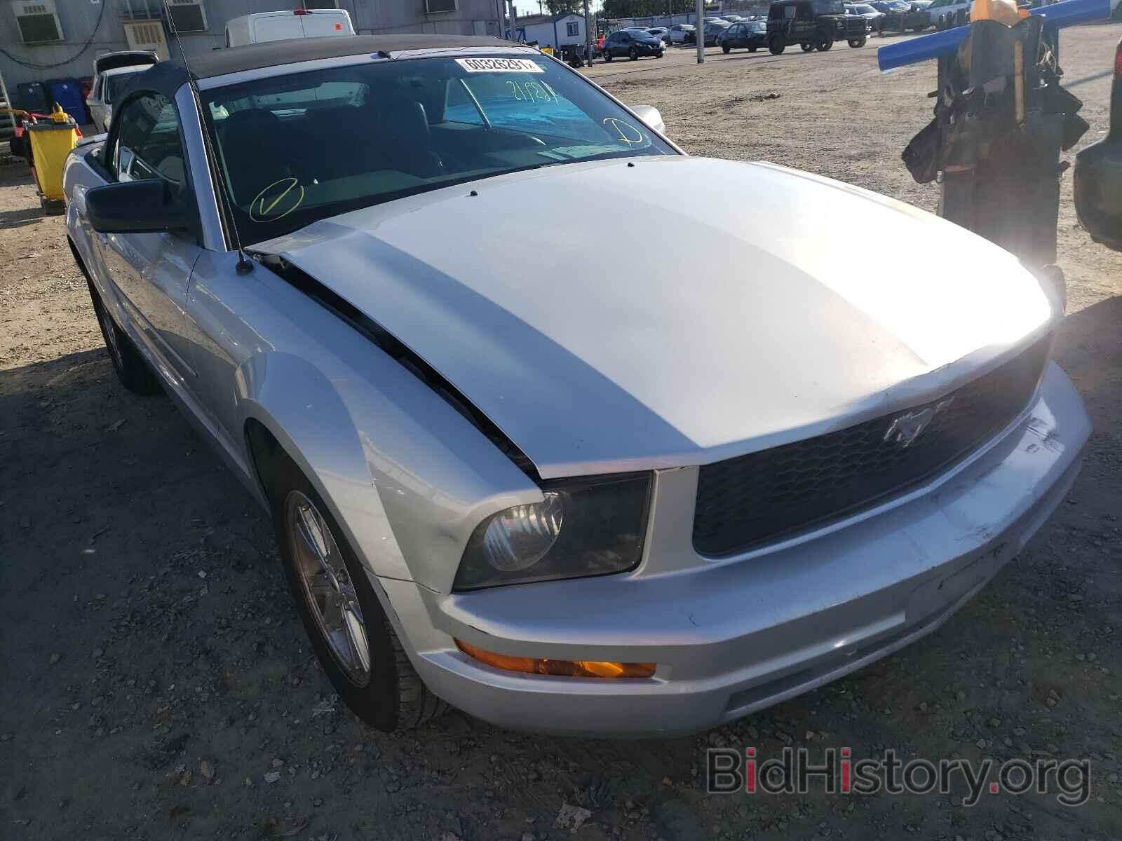 Photo 1ZVFT84N275276809 - FORD MUSTANG 2007