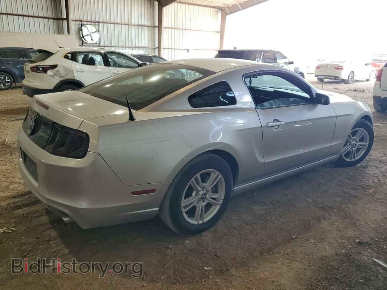 2014 FORD ALL Models - VIN: 1ZVBP8AM4E5316304 - Фото 3