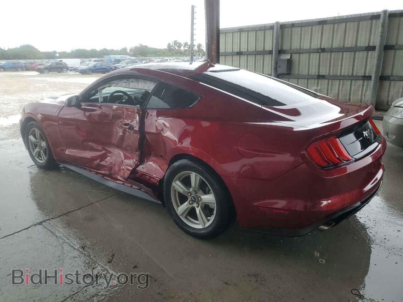 2019 FORD ALL Models - VIN: 1FA6P8TH3K5184822 - Фото 2