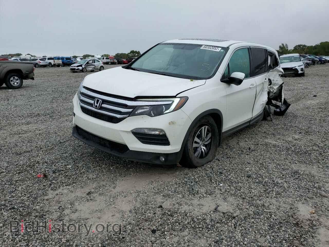 2017 HONDA PILOT - VIN: 5FNYF5H55HB034723 - Фото 2
