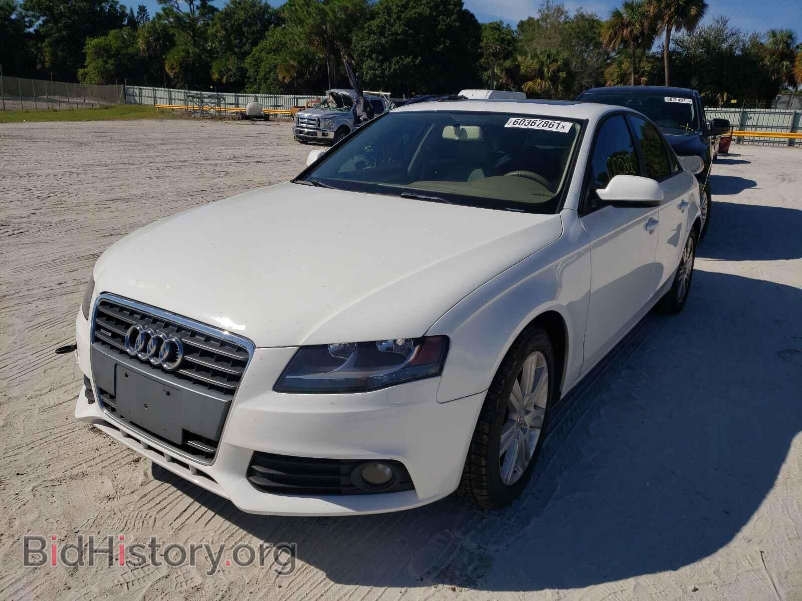 2010 AUDI A4 - VIN: WAUBFAFL4AN022096 - Фото 2