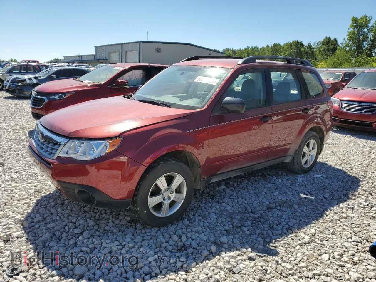 Photo JF2SHABC3BH750464 - SUBARU FORESTER 2011