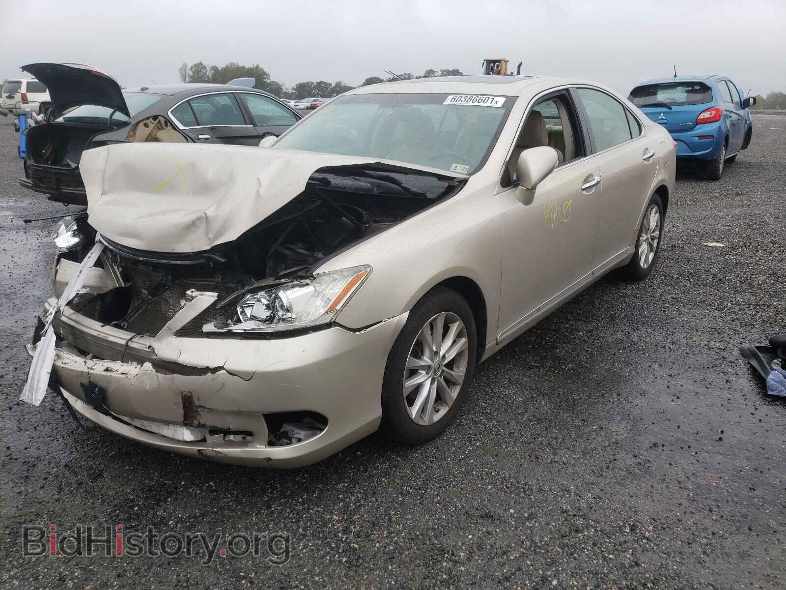 2010 LEXUS ES350 - VIN: JTHBK1EG3A2400573 - Фото 2