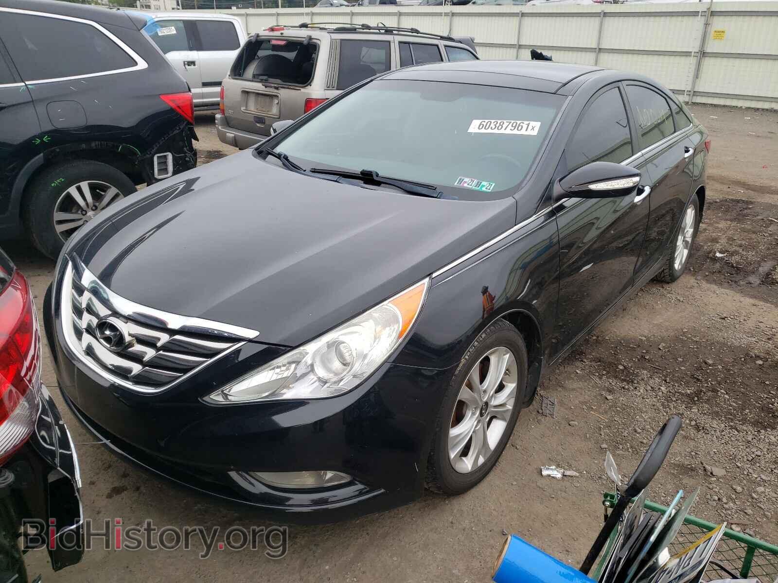 2013 HYUNDAI SONATA - VIN: 5NPEC4AC8DH704307 - Фото 2