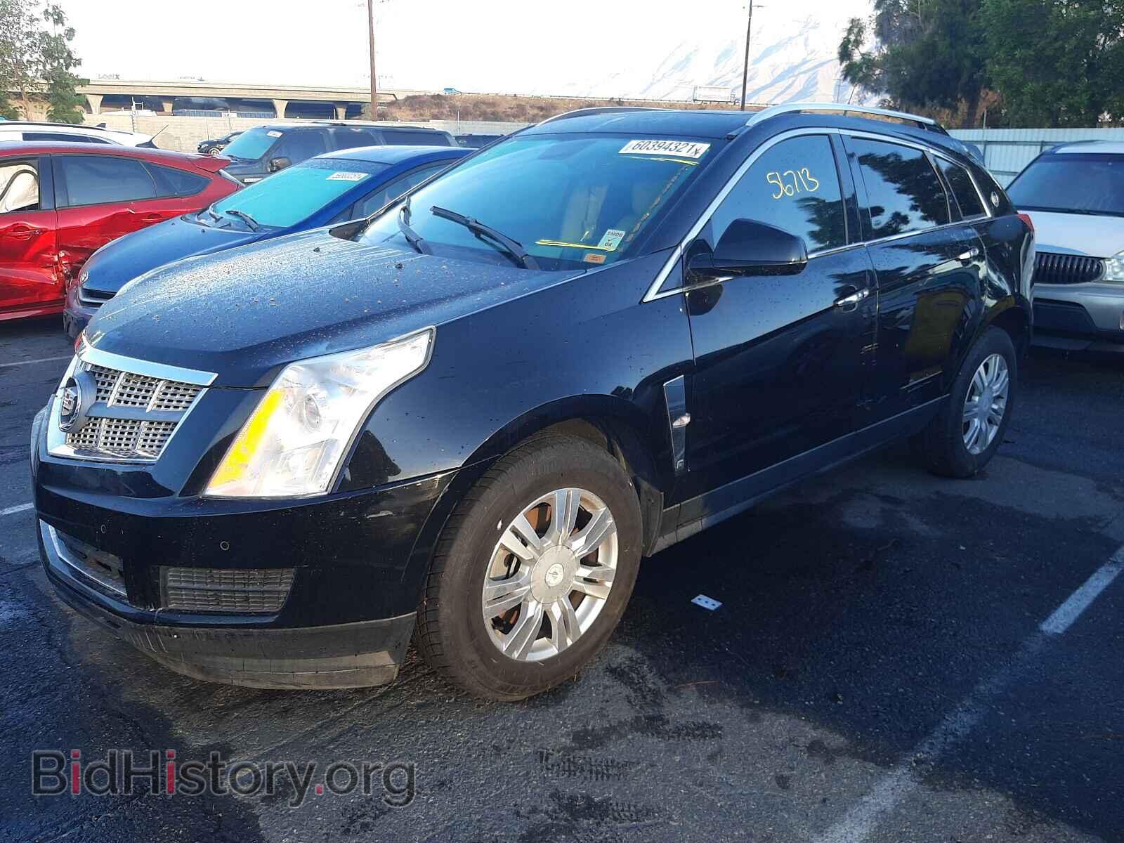 2011 CADILLAC SRX - VIN: 3GYFNAEY5BS559856 - Фото 2