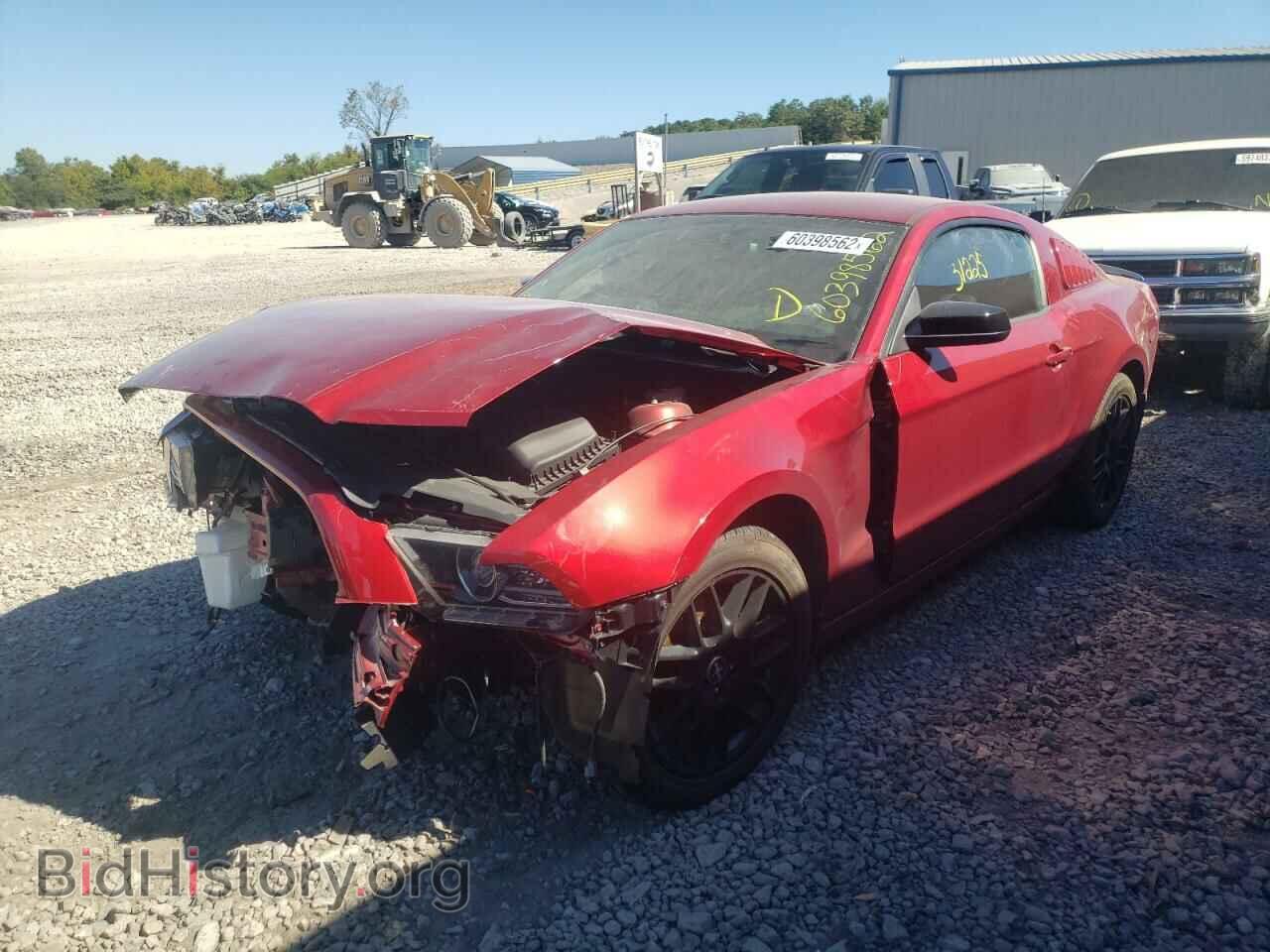 2014 FORD MUSTANG - VIN: 1ZVBP8AM4E5318506 - Фото 2