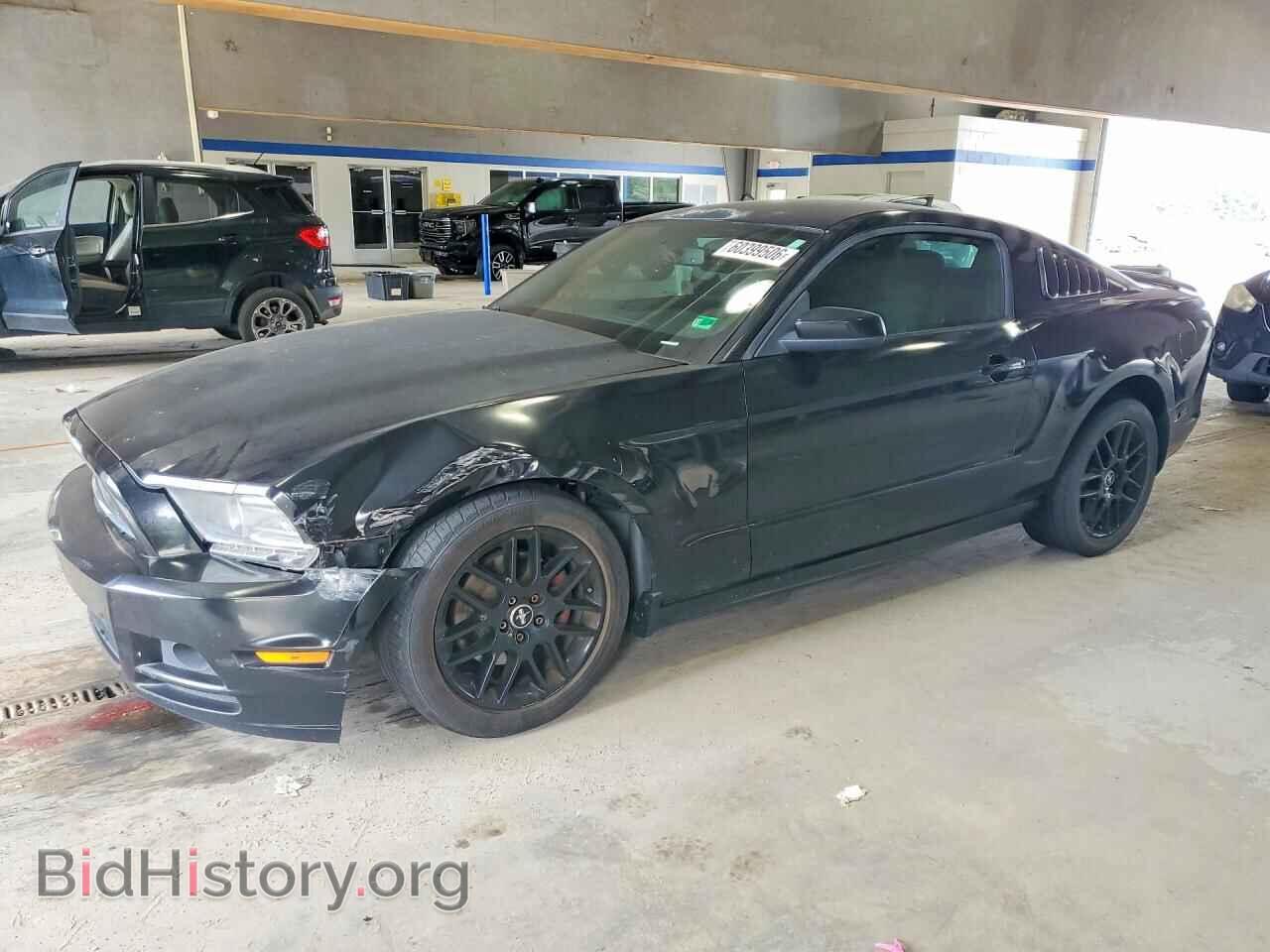 Фотография 1ZVBP8AM2E5283352 - FORD MUSTANG 2014