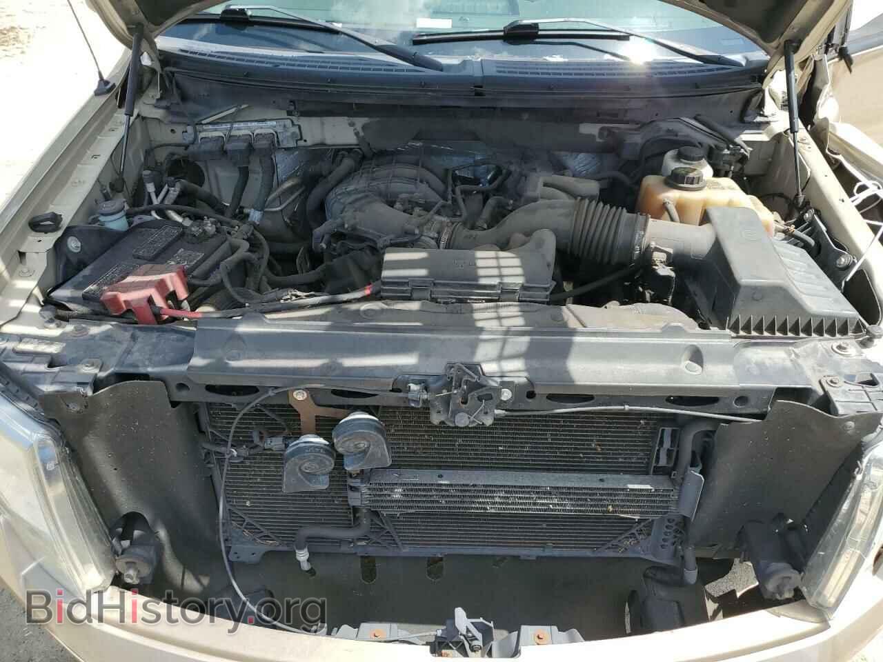 2011 FORD F-150 - VIN: 1FTEX1EM8BFD20153 - Фото 11