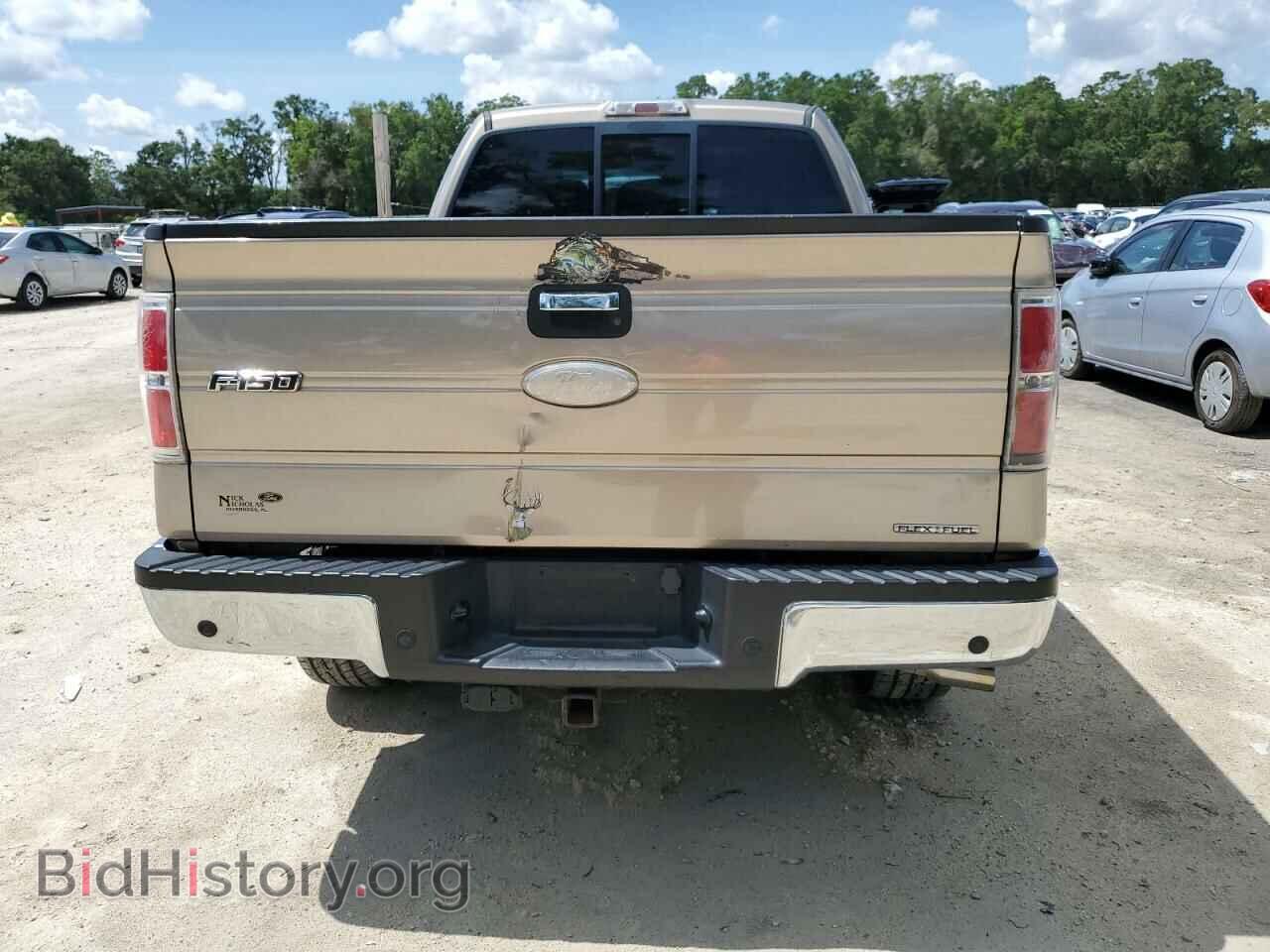 2011 FORD F-150 - VIN: 1FTEX1EM8BFD20153 - Фото 6