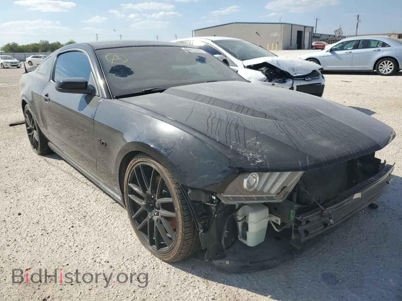 Фотография 1ZVBP8CF4C5266225 - FORD MUSTANG 2012