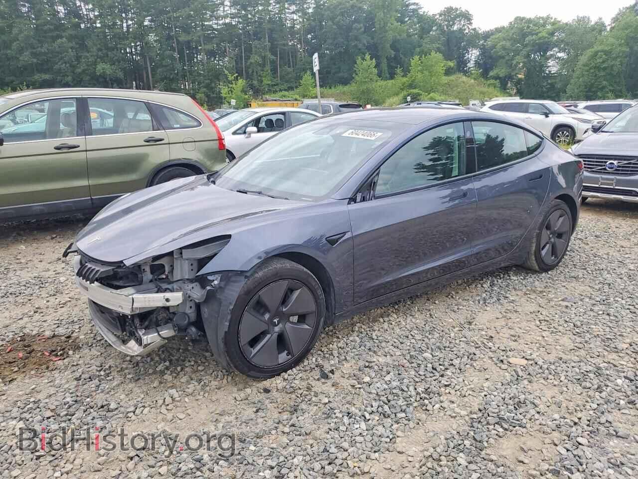 Фотография 5YJ3E1EA0PF434596 - TESLA MODEL 3 2023