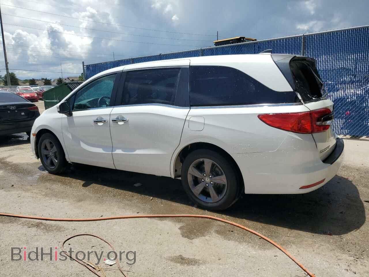 2021 HONDA All Models - VIN: 5FNRL6H59MB017646 - Фото 2
