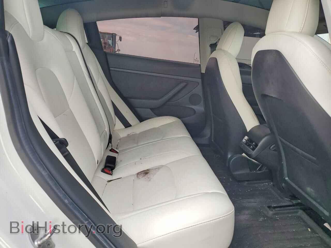 2021 TESLA MODEL 3 - VIN: 5YJ3E1EA1MF096010 - Photo 10