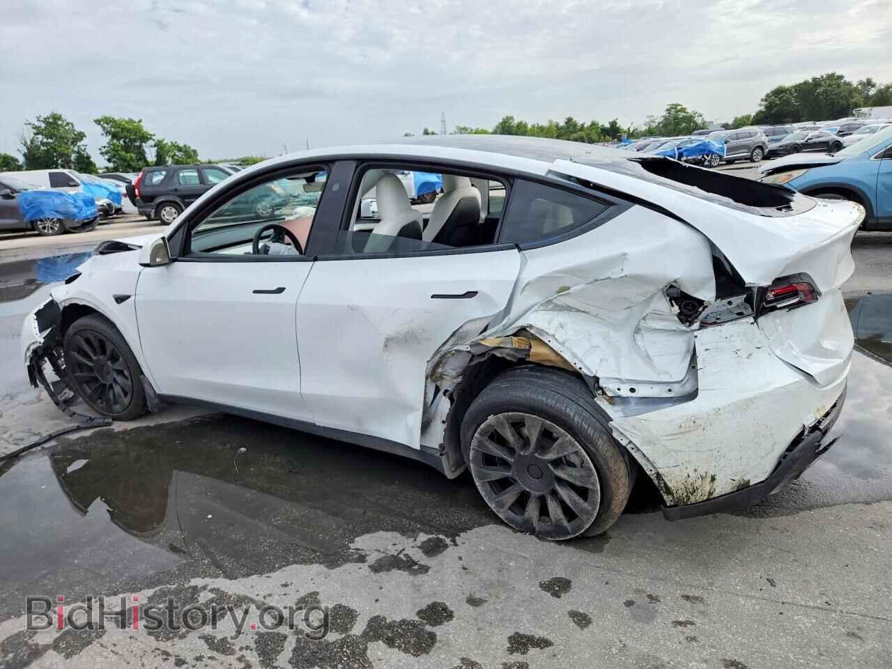 2024 TESLA MODEL Y - VIN: 7SAYGDED7RF102592 - Photo 2