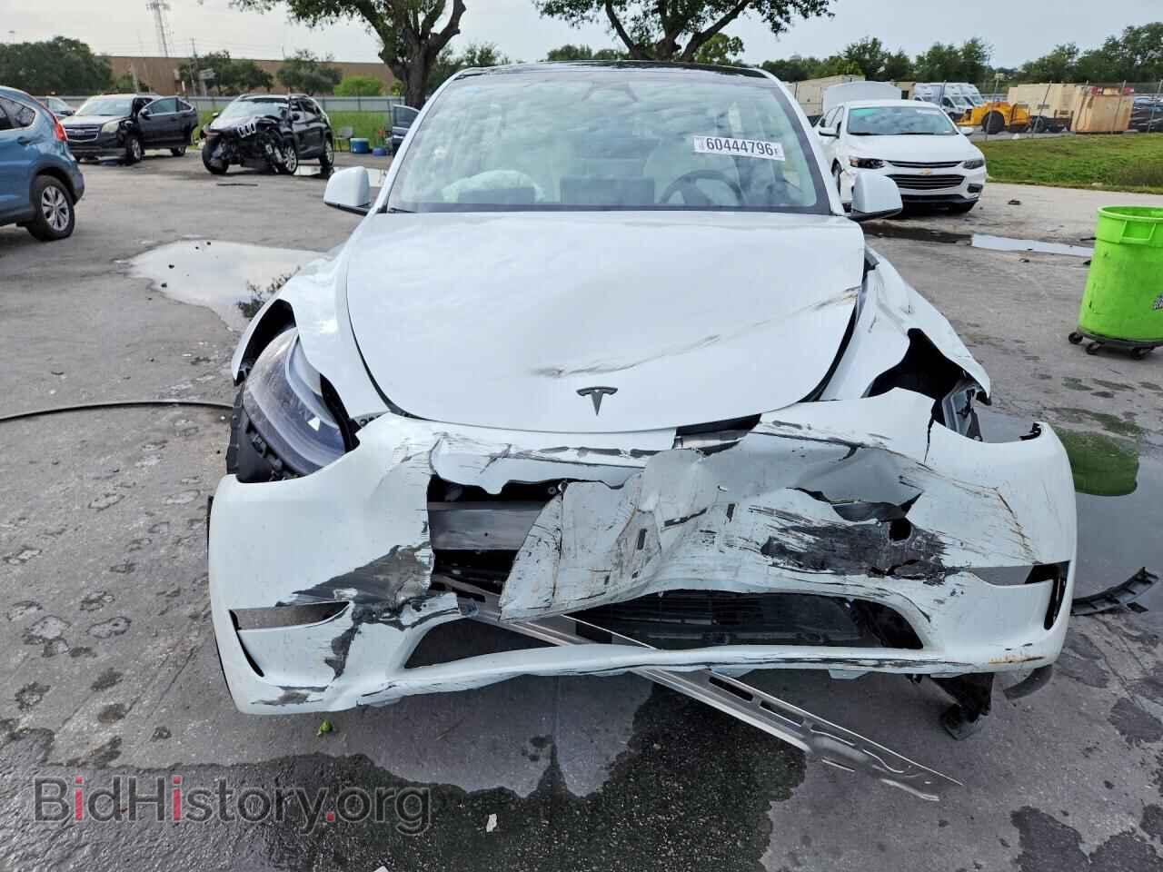 2024 TESLA MODEL Y - VIN: 7SAYGDED7RF102592 - Photo 5