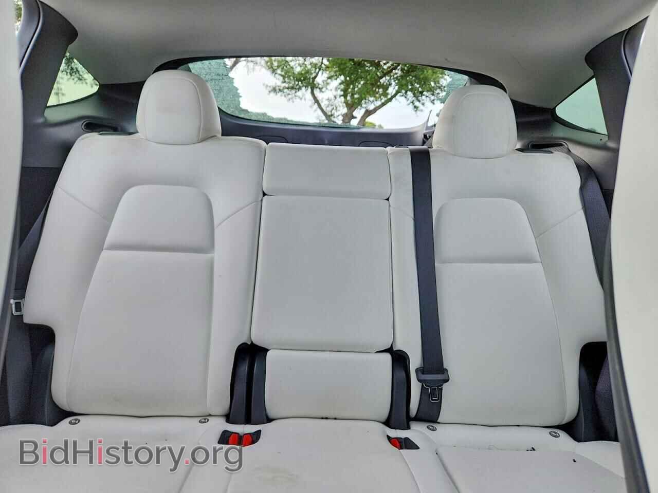 2024 TESLA MODEL Y - VIN: 7SAYGDED7RF102592 - Photo 10
