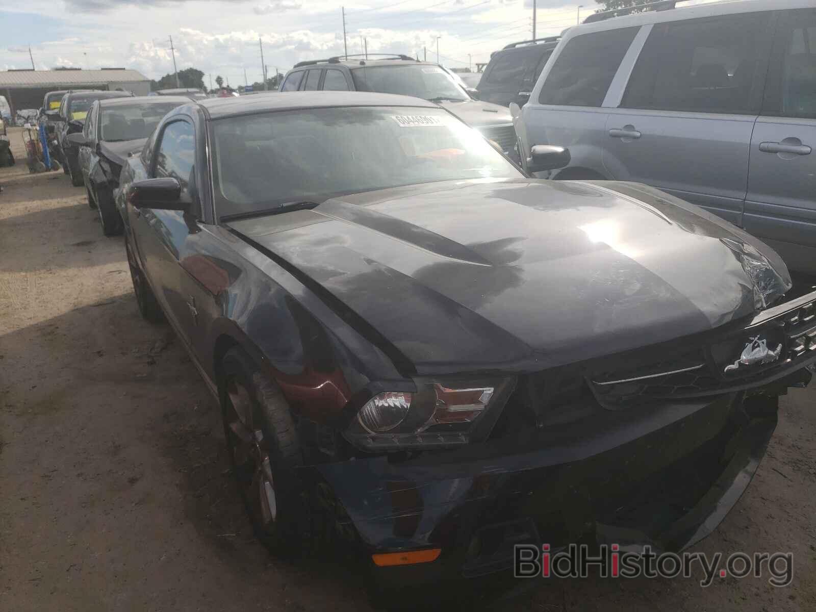 Photo 1ZVBP8AN7A5152694 - FORD MUSTANG 2010