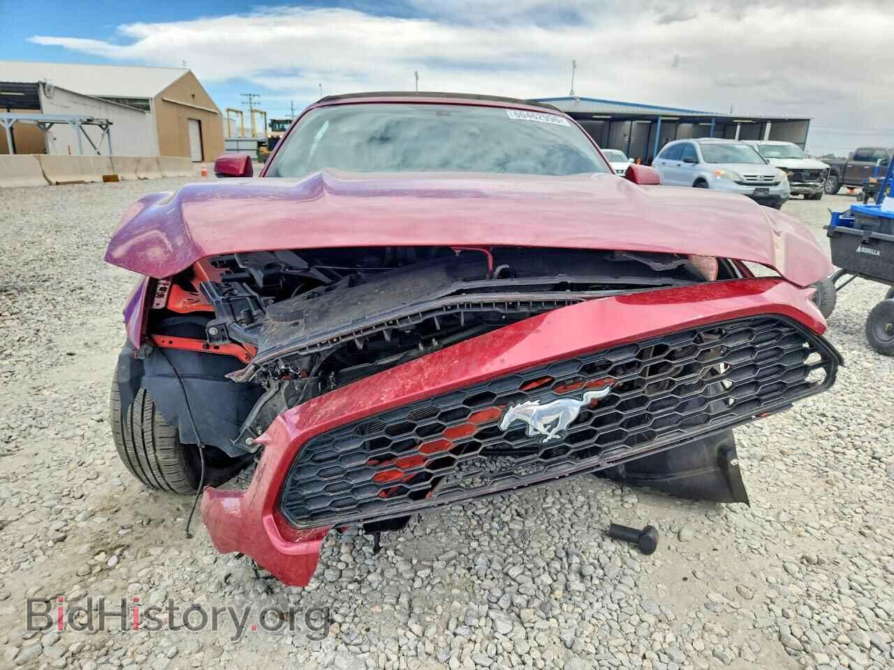 2015 FORD MUSTANG - VIN: 1FATP8UH8F5392895 - Фото 5