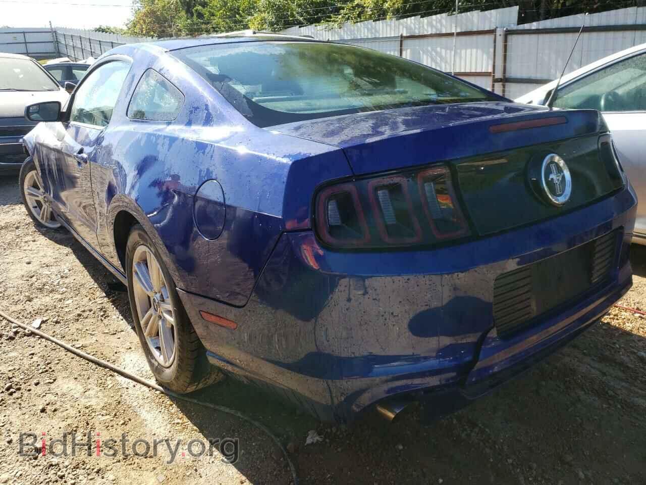 2013 FORD MUSTANG - VIN: 1ZVBP8AM5D5281108 - Фото 3