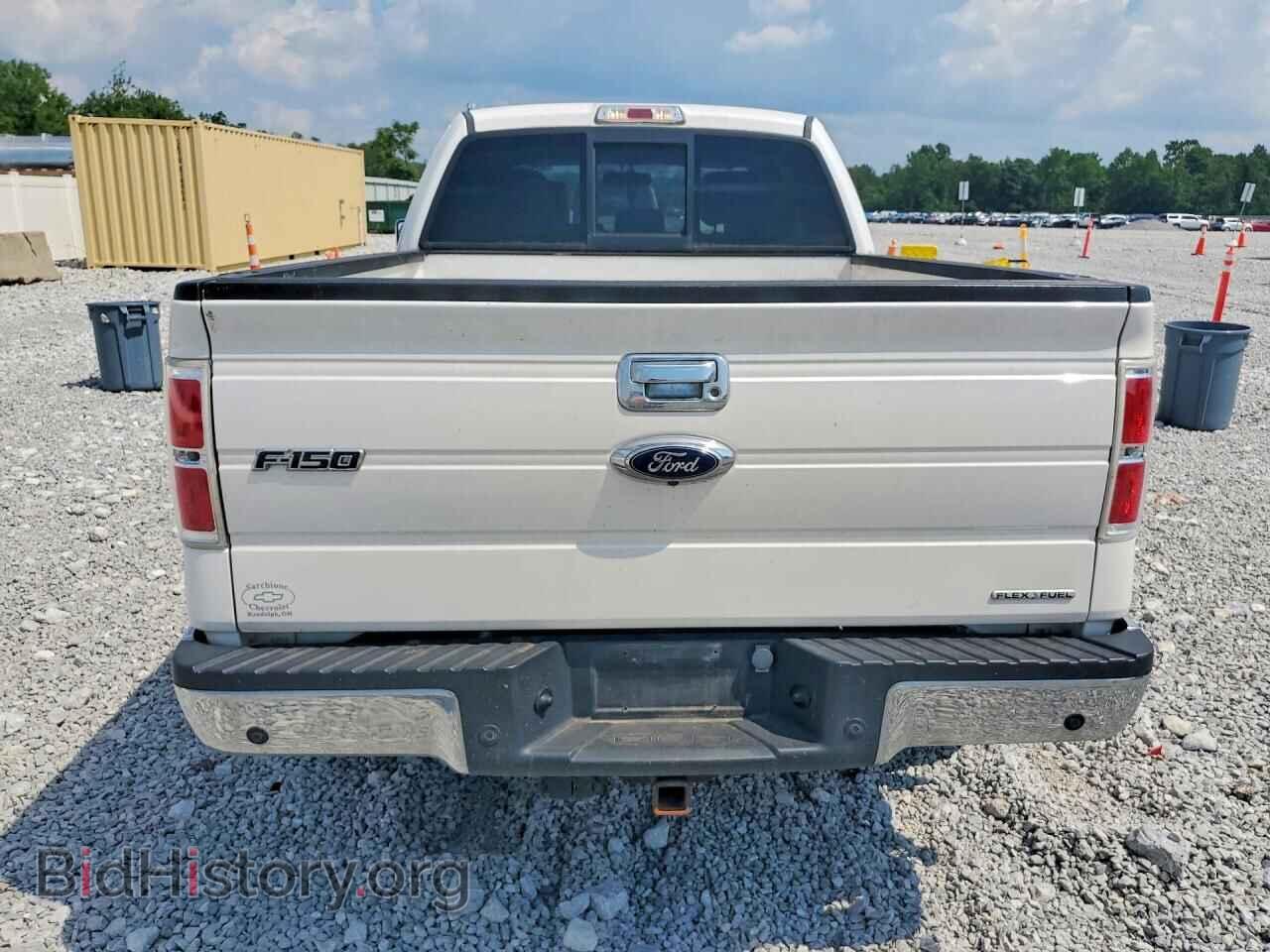 2013 FORD F150 - VIN: 1FTFX1EFXDFD09695 - Фото 6
