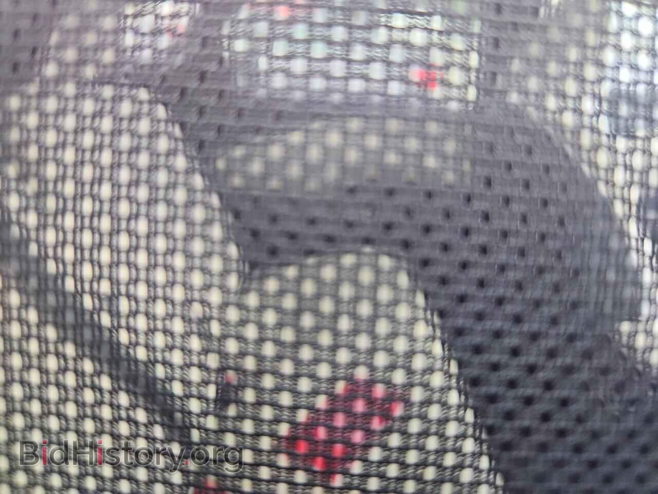 2025 LEXUS UNKNOWN - VIN: 2T2BBMCAXSC070060 - Фото 10