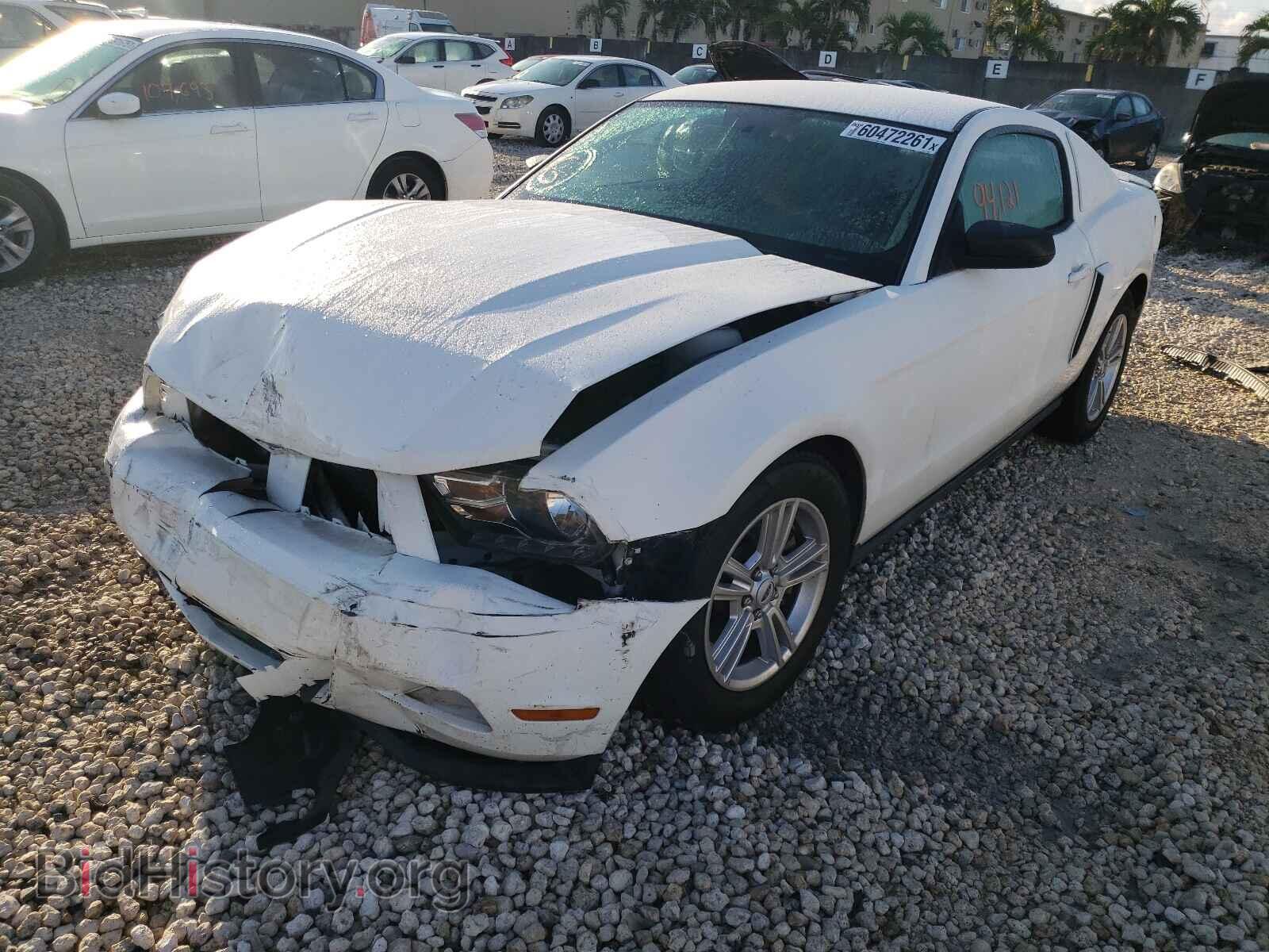 2012 FORD MUSTANG - VIN: 1ZVBP8AM2C5271697 - Фото 2