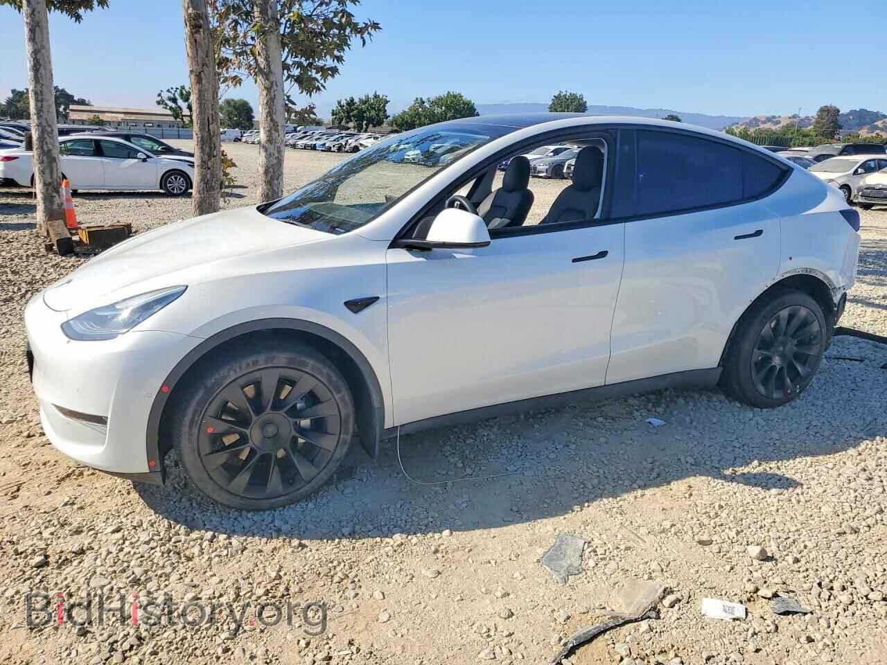 Фотография 7SAYGDEE3NF511157 - TESLA MODEL Y 2022