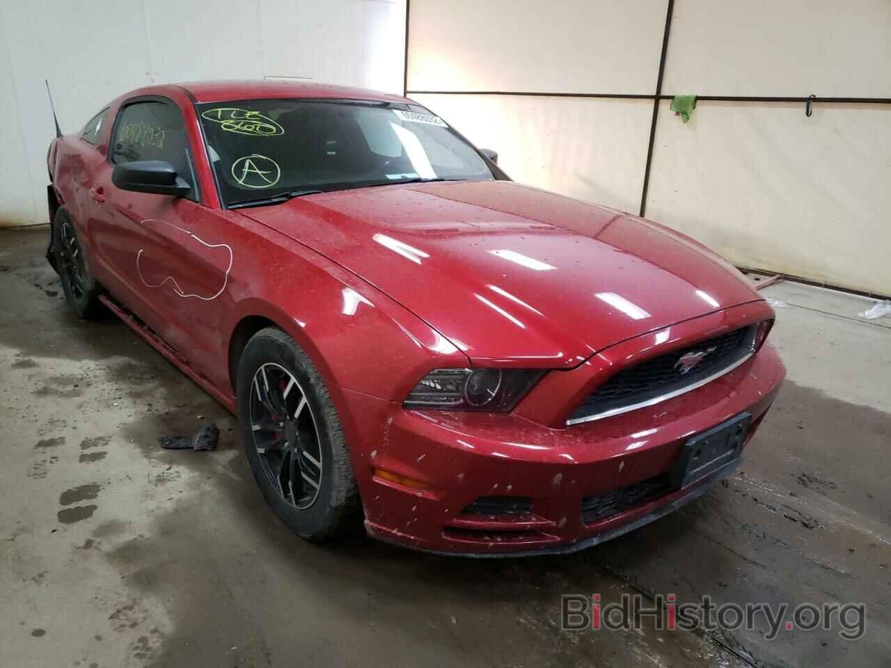 Photo 1ZVBP8AM0D5262563 - FORD MUSTANG 2013