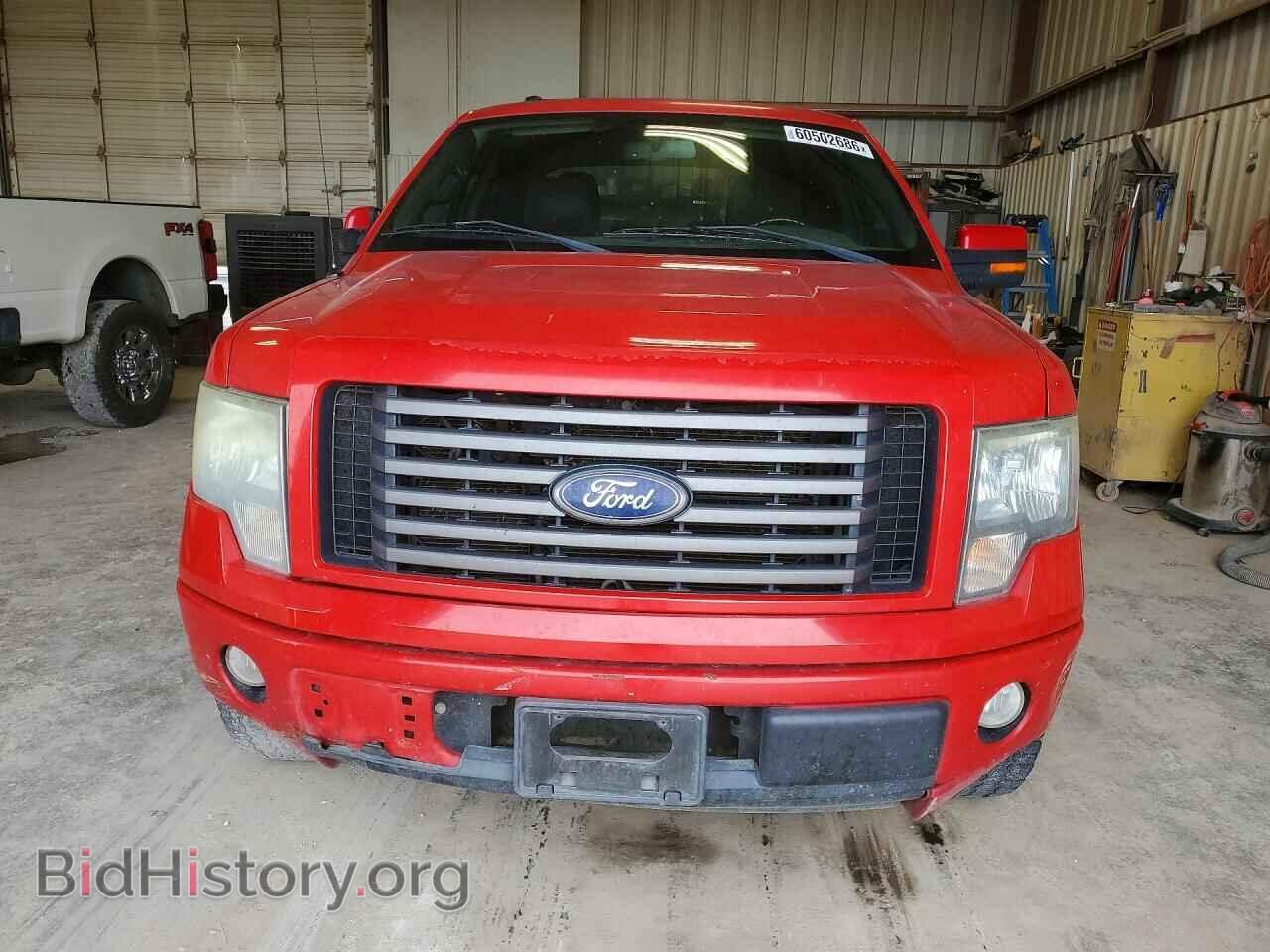 2010 FORD F150 - VIN: 1FTEW1C84AKE63681 - Фото 5