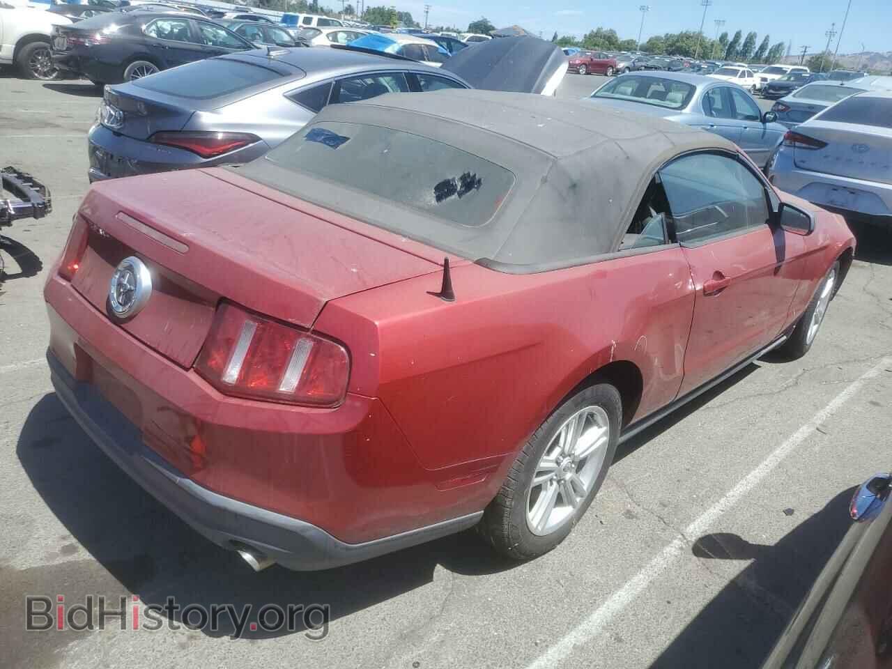 2010 FORD ALL Models - VIN: 1ZVBP8EN8A5175802 - Фото 3
