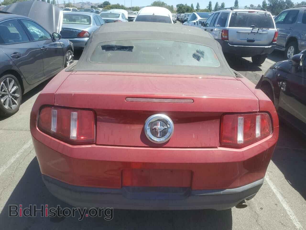 2010 FORD ALL Models - VIN: 1ZVBP8EN8A5175802 - Фото 6