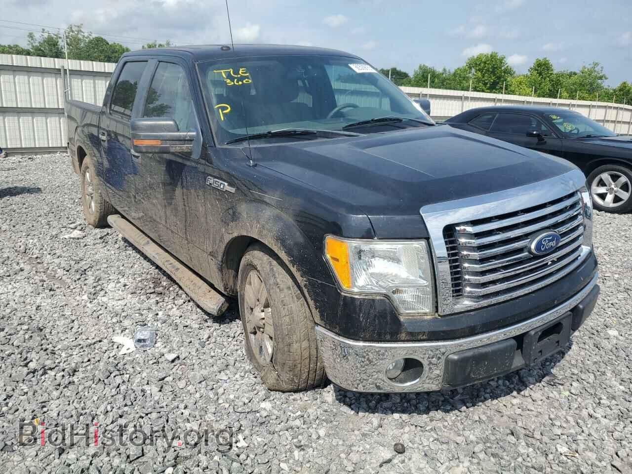 2010 FORD F-150 - VIN: 1FTEW1C80AFD38234 - Фото 4