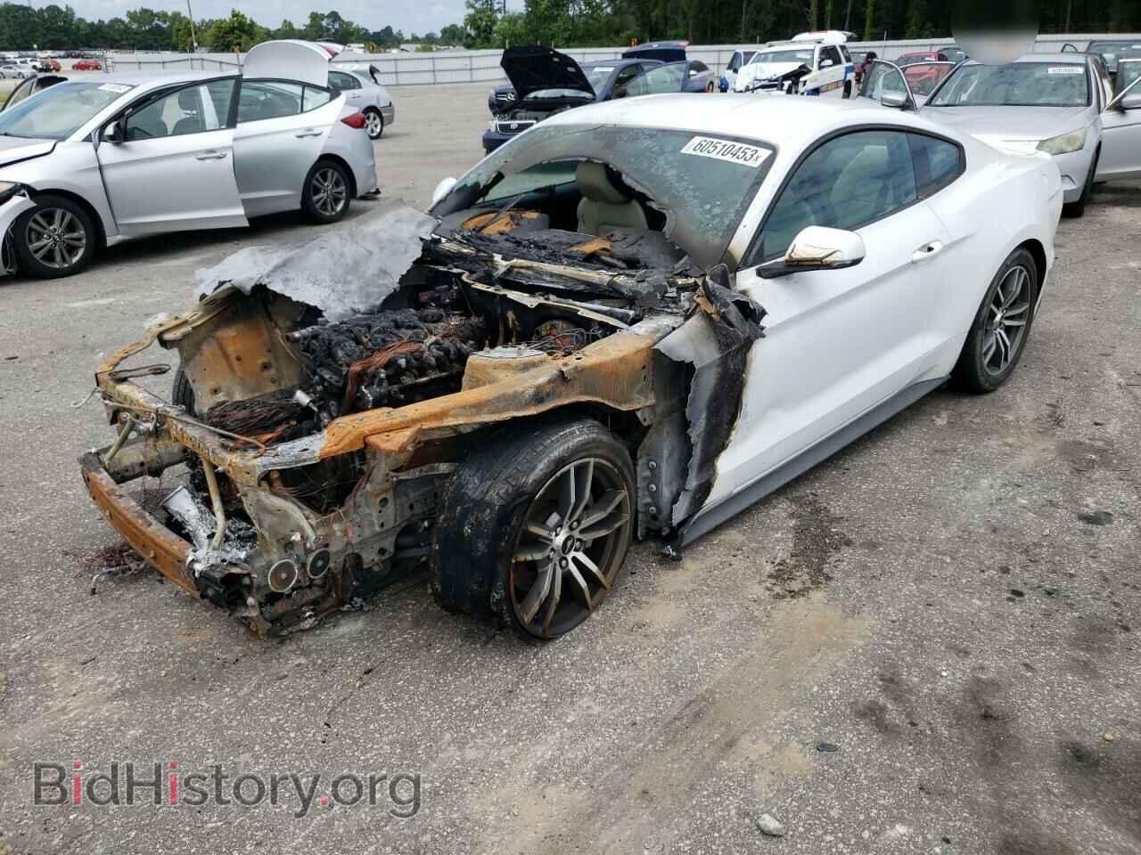 Photo 1FA6P8TH2F5335008 - FORD ALL Models 2015