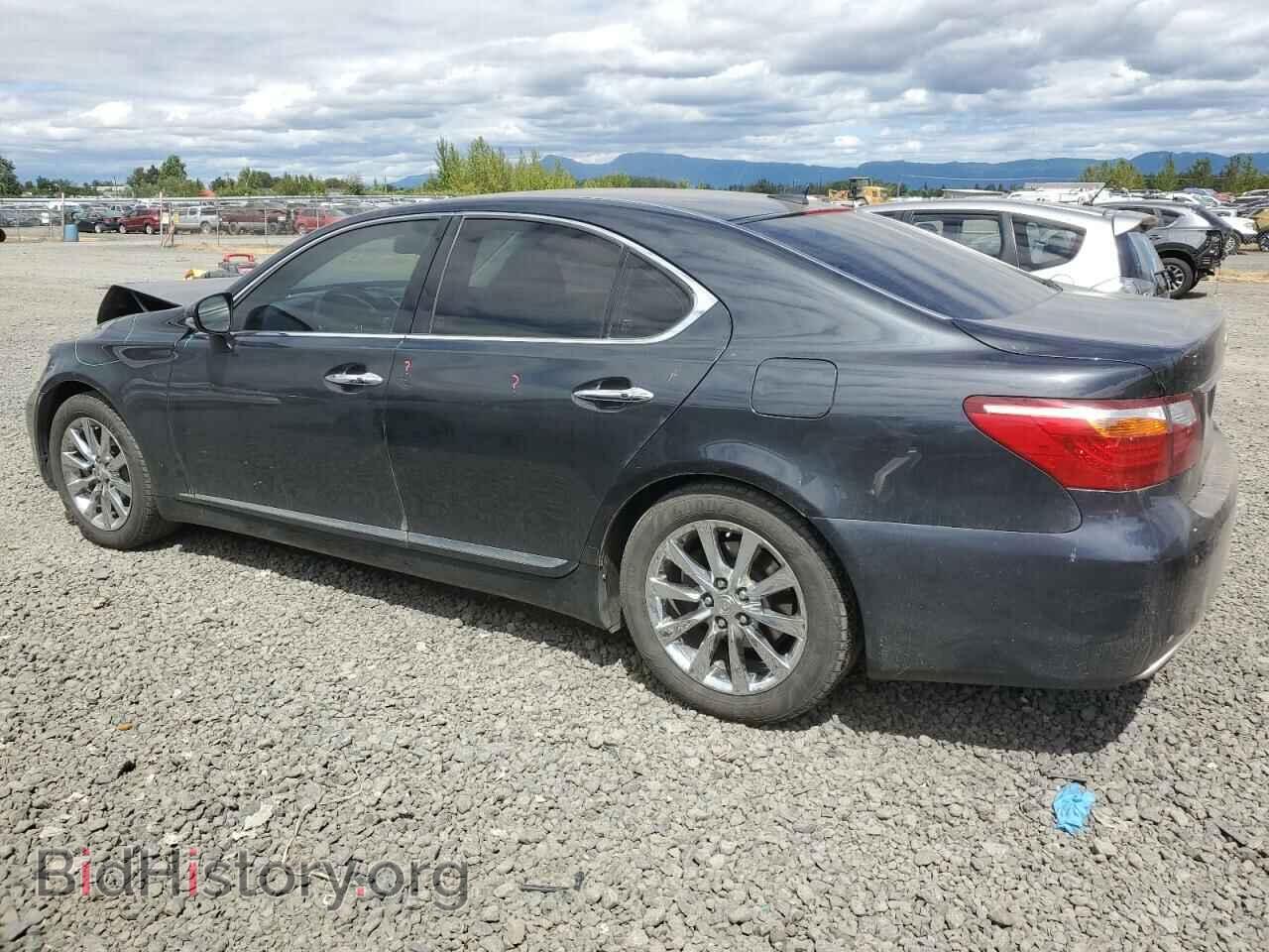 2011 LEXUS LS460 - VIN: JTHBL5EF7B5103981 - Фото 2